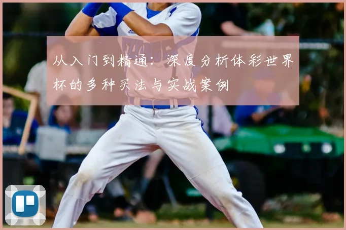 从入门到精通：深度分析体彩世界杯的多种买法与实战案例