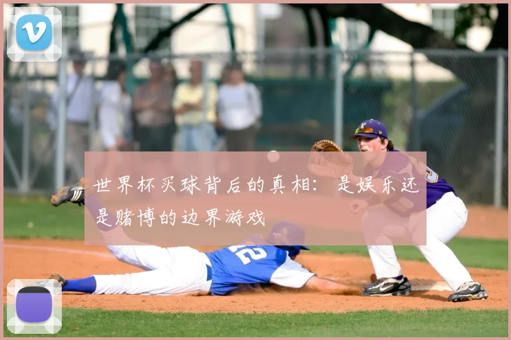 世界杯买球背后的真相：是娱乐还是赌博的边界游戏