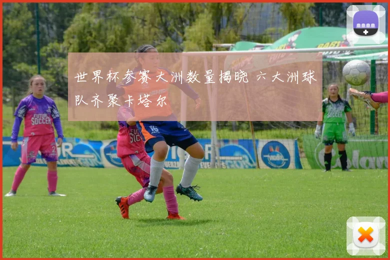 世界杯参赛大洲数量揭晓 六大洲球队齐聚卡塔尔