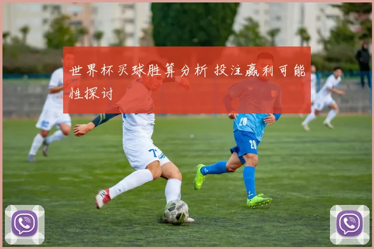 世界杯买球胜算分析 投注赢利可能性探讨