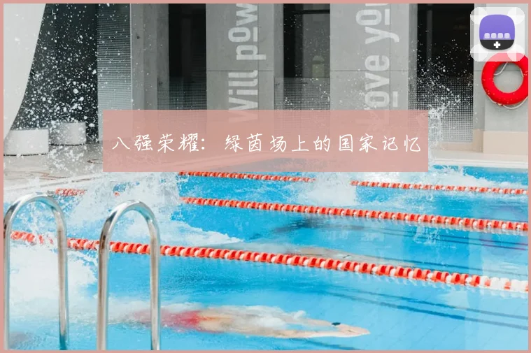 八强荣耀：绿茵场上的国家记忆