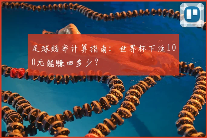 足球赔率计算指南：世界杯下注100元能赚回多少？