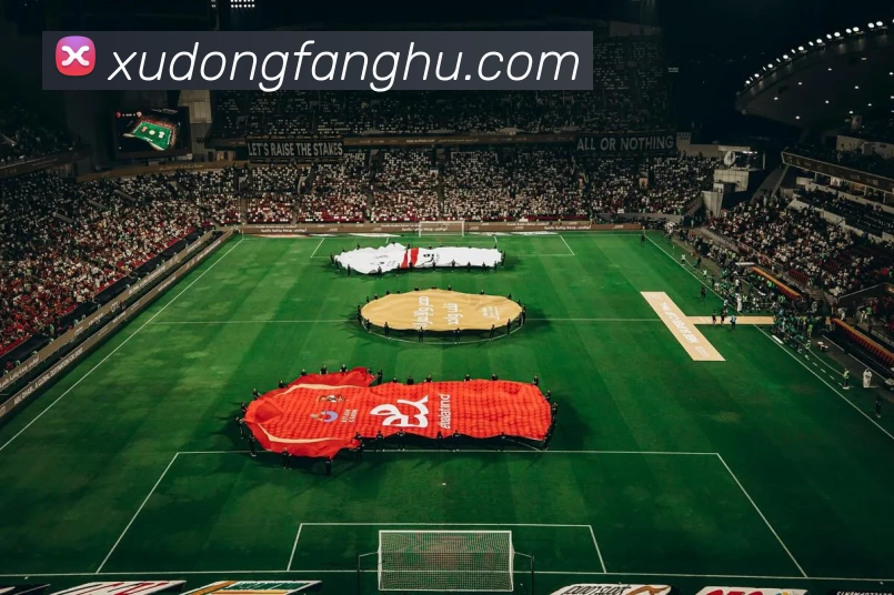 华体会官方APP 封面图